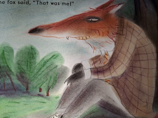 Picture of a fox